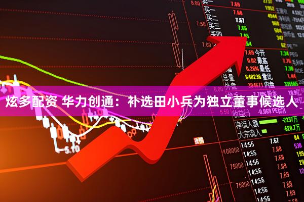 炫多配资 华力创通：补选田小兵为独立董事候选人