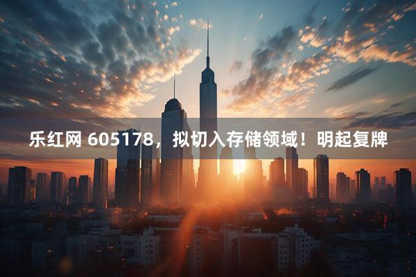 乐红网 605178，拟切入存储领域！明起复牌