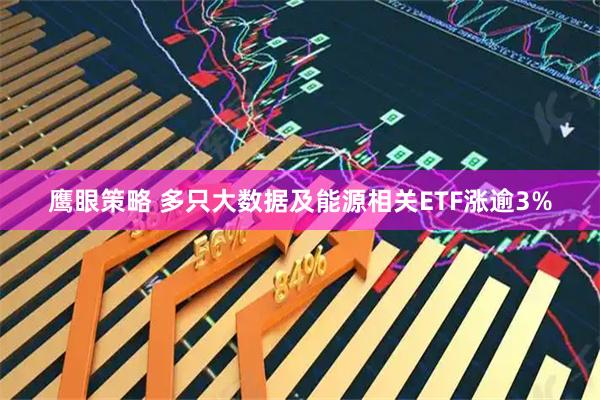 鹰眼策略 多只大数据及能源相关ETF涨逾3%