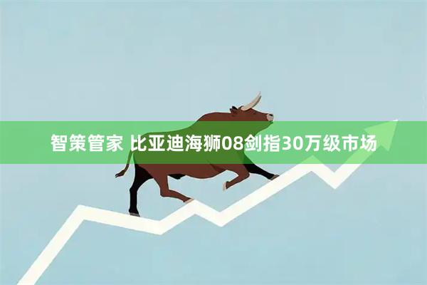 智策管家 比亚迪海狮08剑指30万级市场