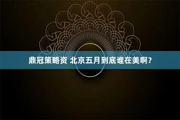 鼎冠策略资 北京五月到底谁在美啊？