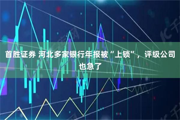 首胜证券 河北多家银行年报被“上锁”,评级公司也急了