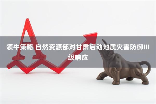 领牛策略 自然资源部对甘肃启动地质灾害防御Ⅲ级响应